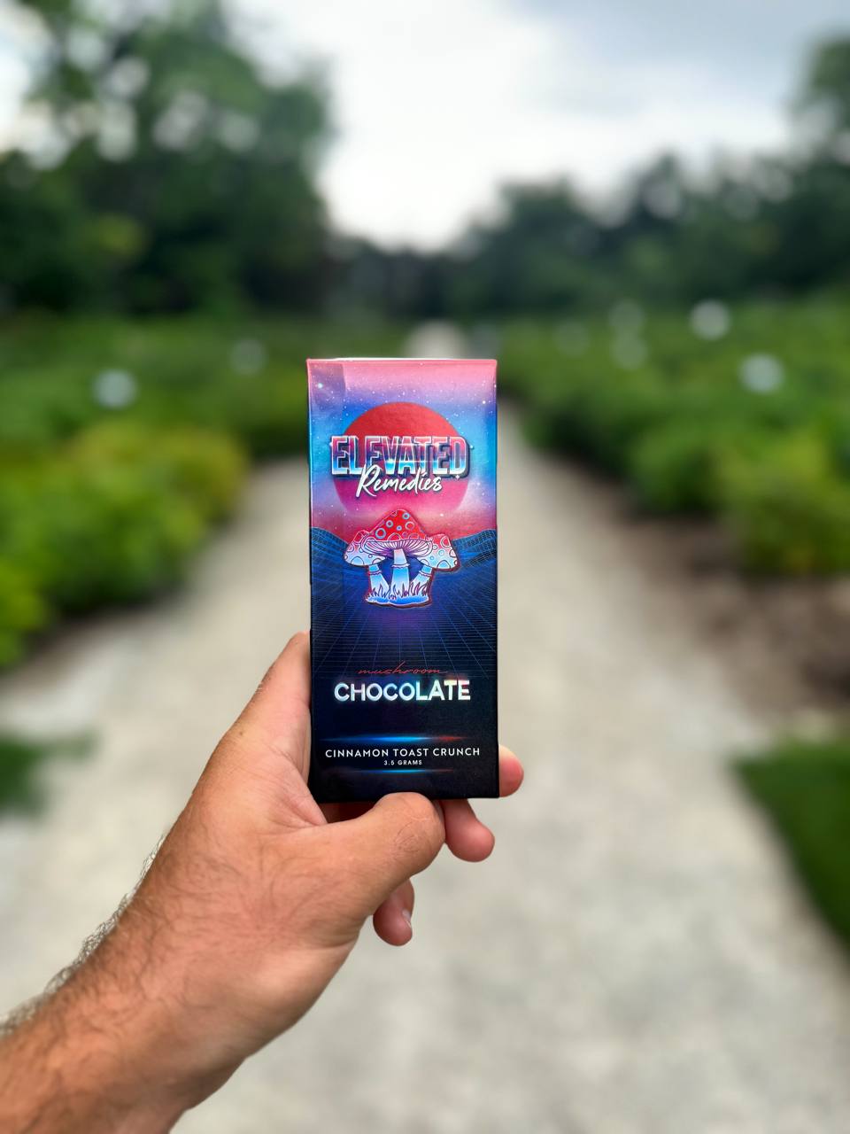 Mushroom chocolate bar