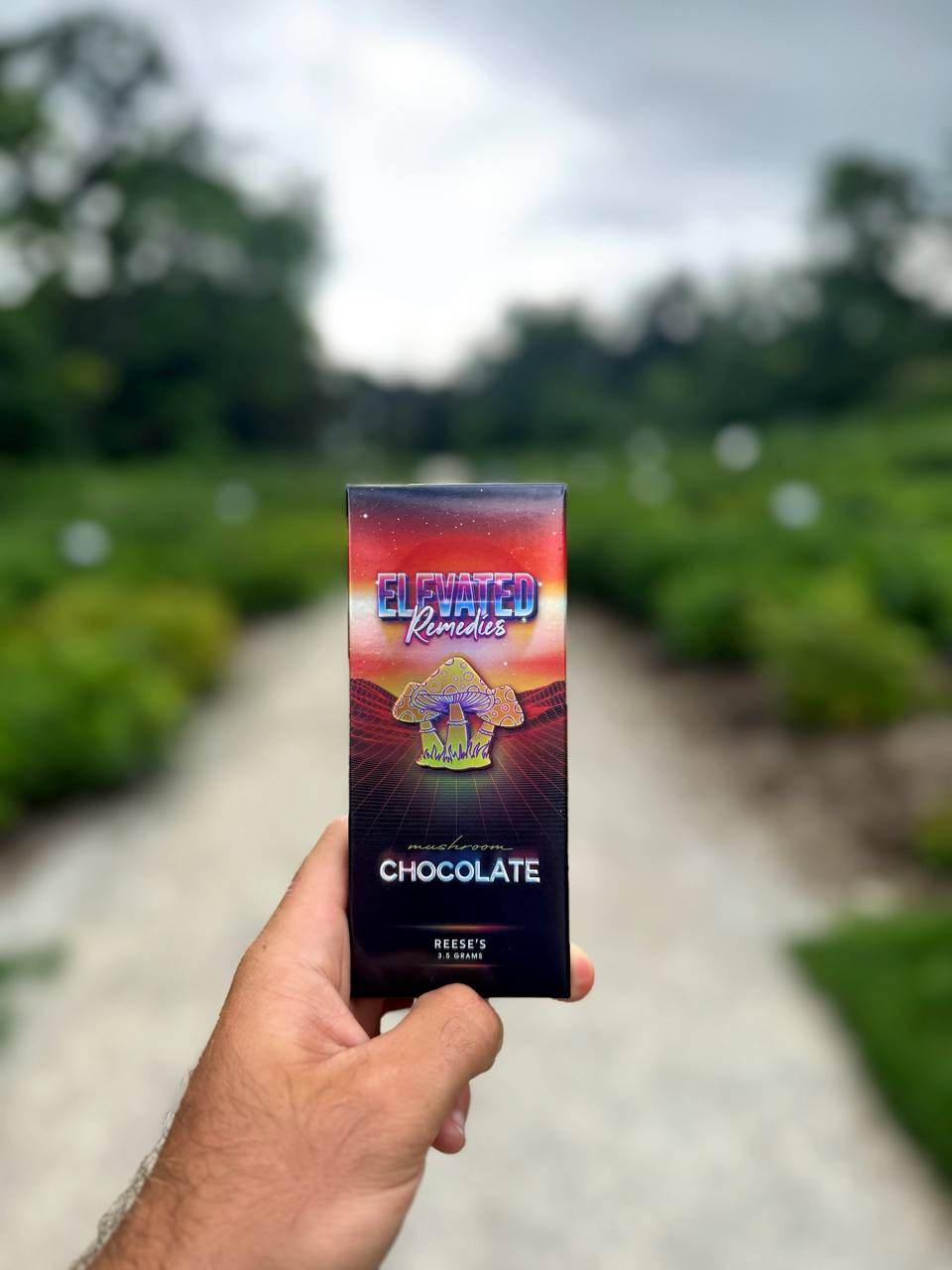 Mushroom chocolate bar