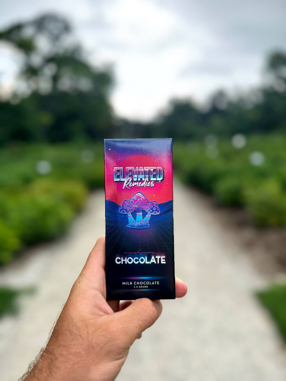 Mushroom chocolate bar