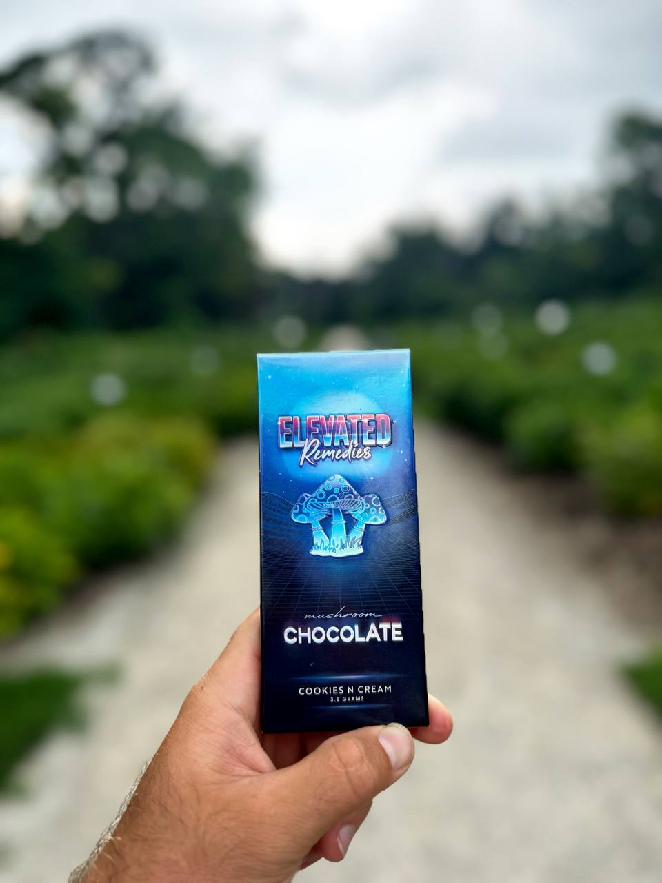 Mushroom chocolate bar